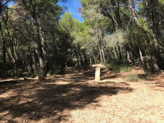 Wanderbeschreibung - Steinpfosten Sant Elm nach Sa Trapa